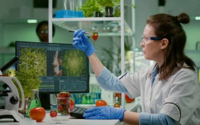 Descubre los laboratorios de alimentos para asegurar la calidad de tus productos