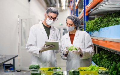¿Cuáles son los principios clave de la seguridad alimentaria?